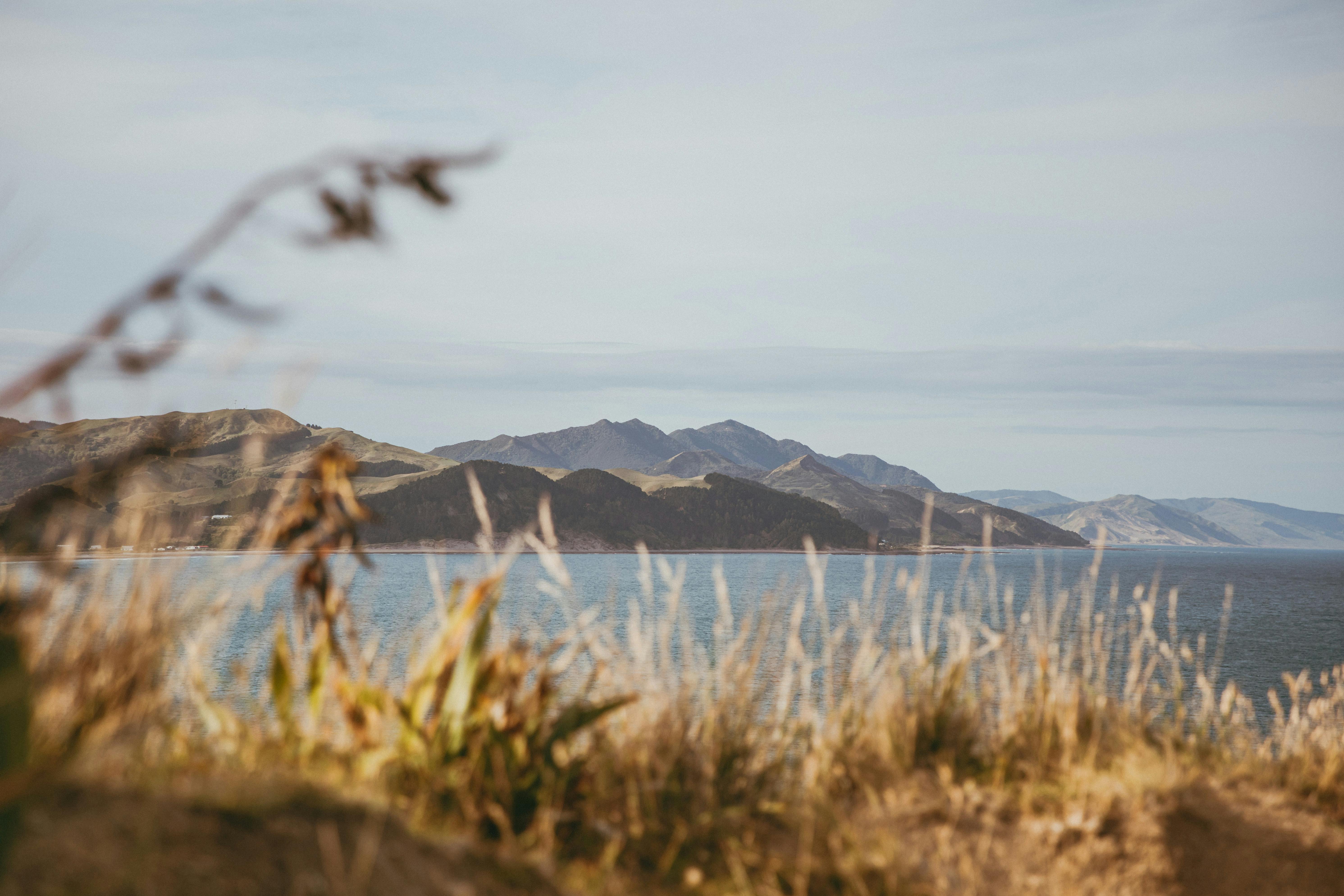 general travel new zealand ltd — Photo by Petra Reid on Pexels