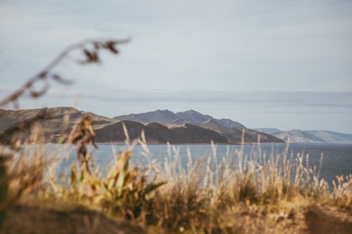 Free Serene view of Castlepoint, New Zealand's coastal landscape with grass and ocean. Stock Photo