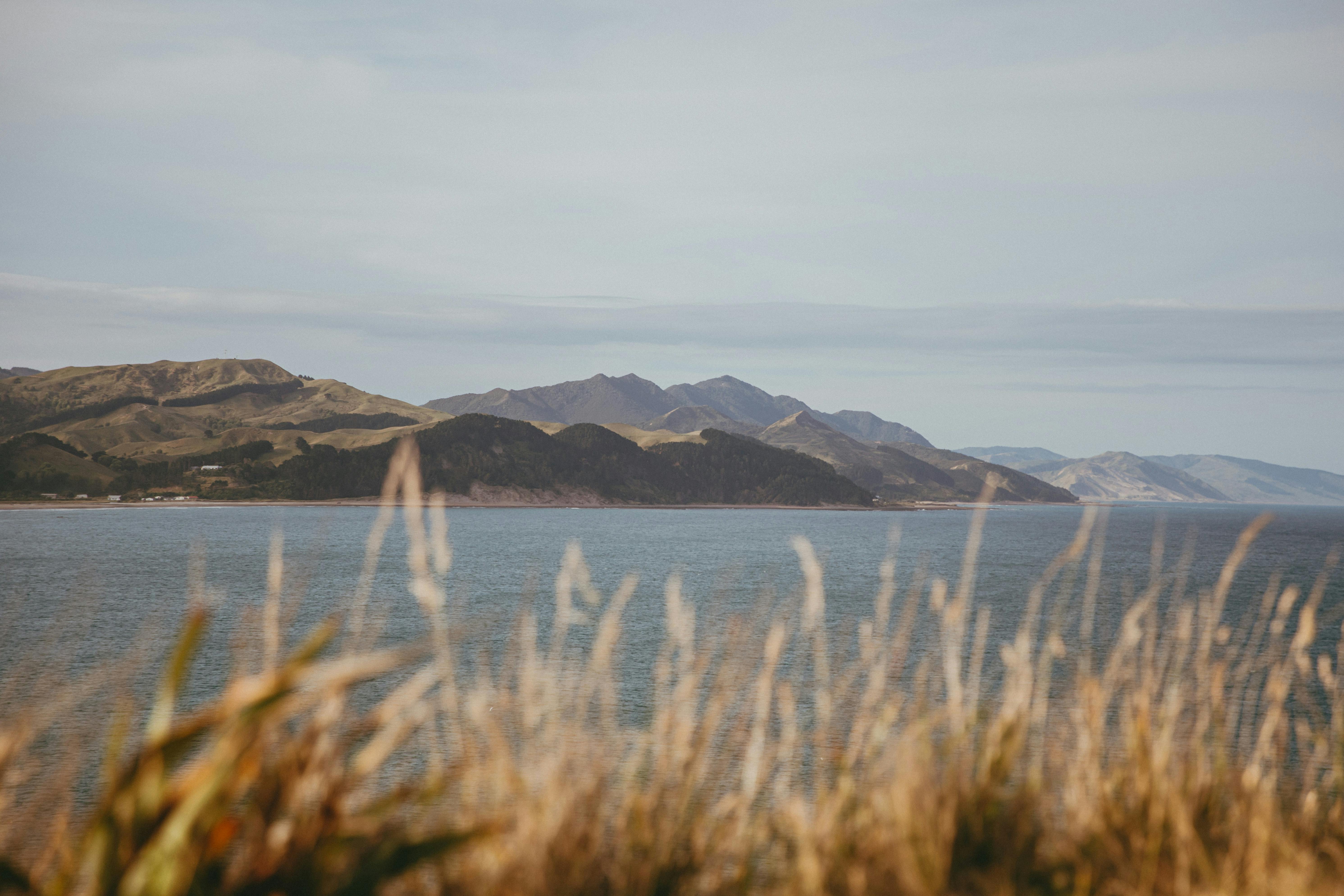 general travel new zealand — Photo by Petra Reid on Pexels