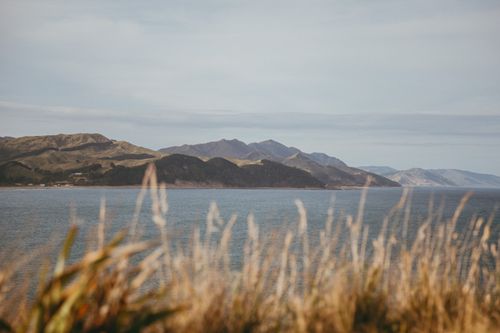 Free Peaceful coastline view of Castlepoint Beach, New Zealand with mountain backdrop. Stock Photo