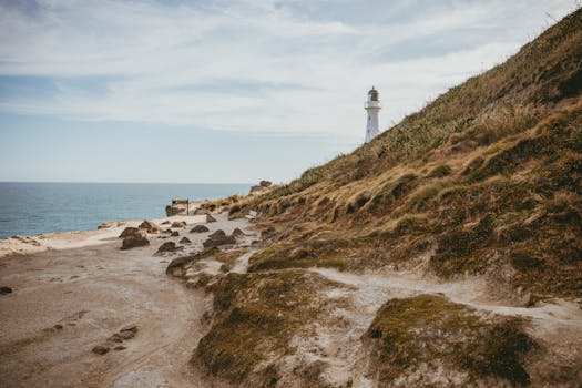 Wellington, New Zealand photo 8