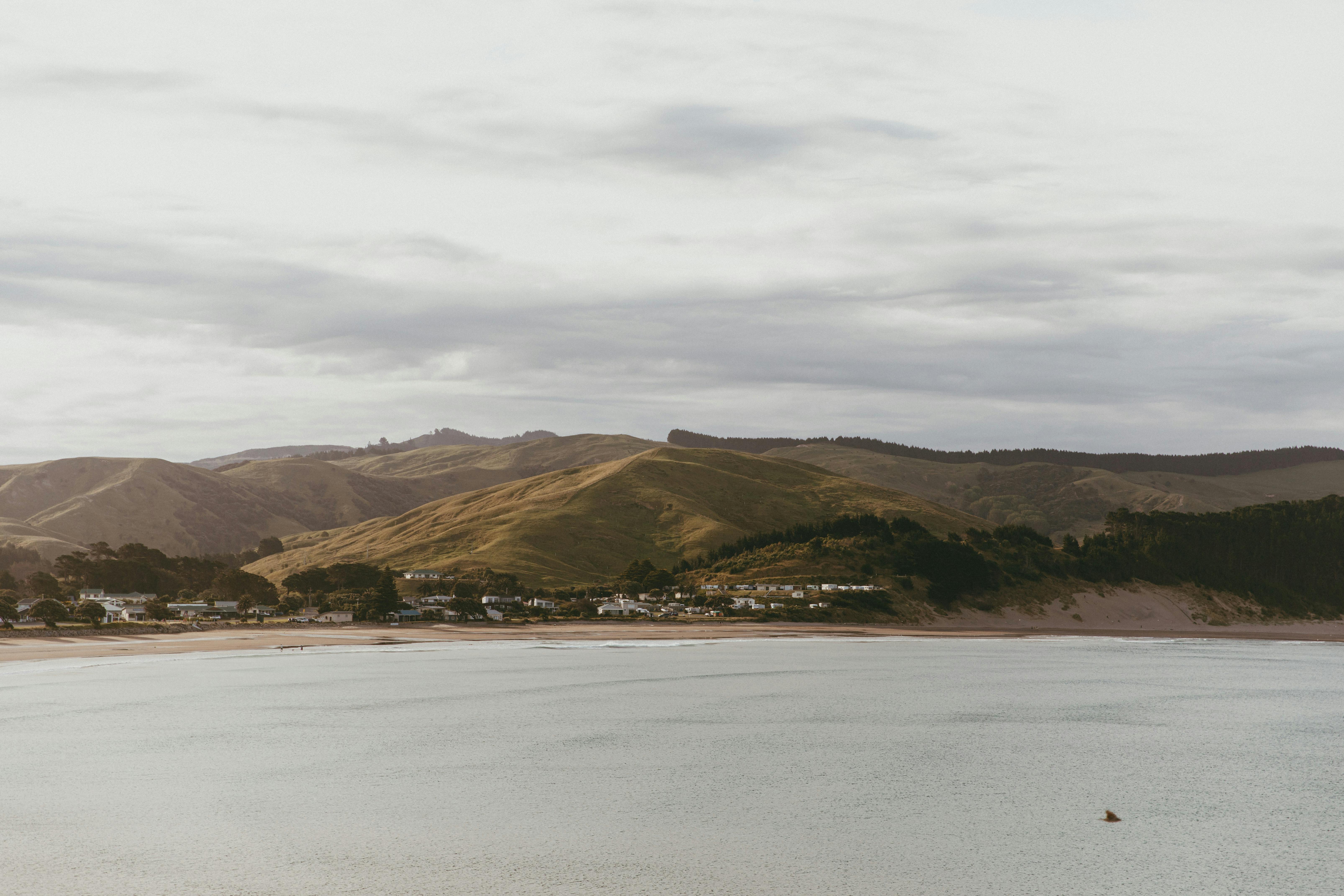 General Travel New Zealand hosts Indian travel agents on experiential famil — Photo by Petra Reid on Pexels