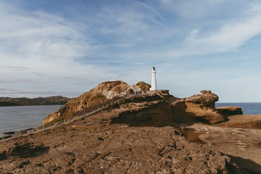 Wellington, New Zealand photo 7