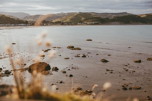 Wide-angle view of Castlepoint Beach with surrounding hills and calm seas at sunset.