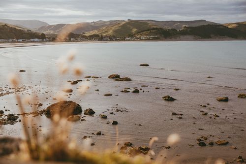 Free Wide-angle view of Castlepoint Beach with surrounding hills and calm seas at sunset. Stock Photo