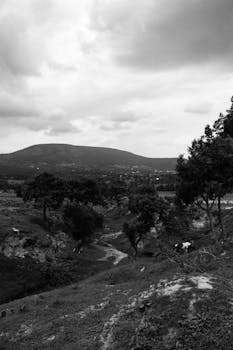 Image by Marco Antonio  Casique Reyes