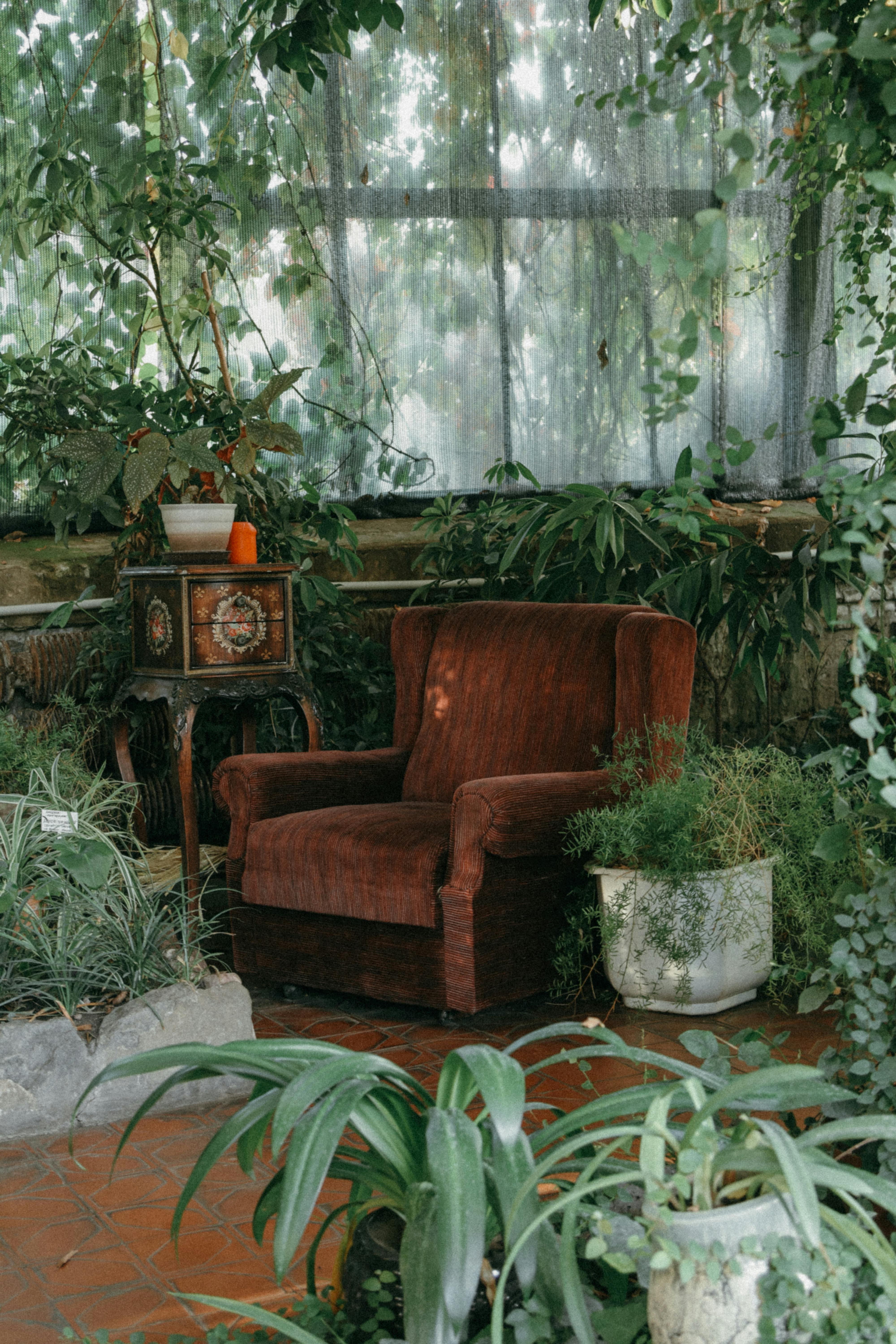 A cozy brown armchair amidst lush greenery in a tranquil indoor greenhouse space.