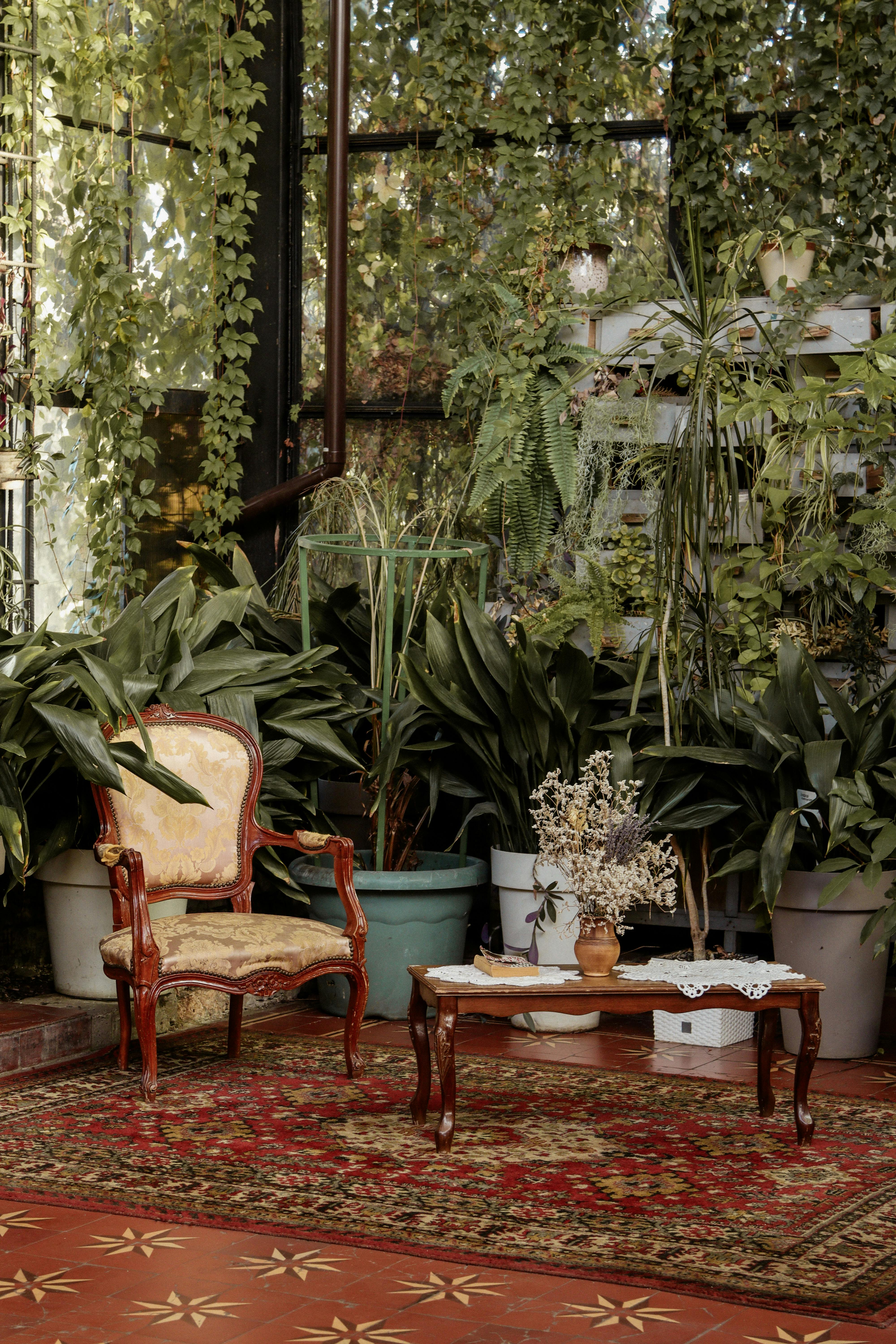 Charming indoor garden setting featuring vintage furniture and lush greenery.