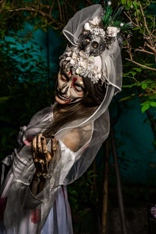 Free Halloween-themed photo of a spooky bride with skeleton makeup and veil outdoors. Stock Photo
