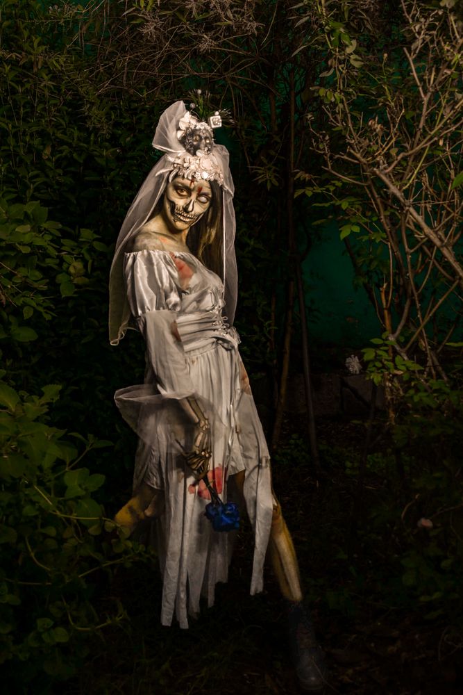 Undead Photos, Download The BEST Free Undead Stock Photos & HD Images