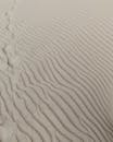 捕捉奈达沙丘的波浪形沙纹，展现立陶宛的自然美景