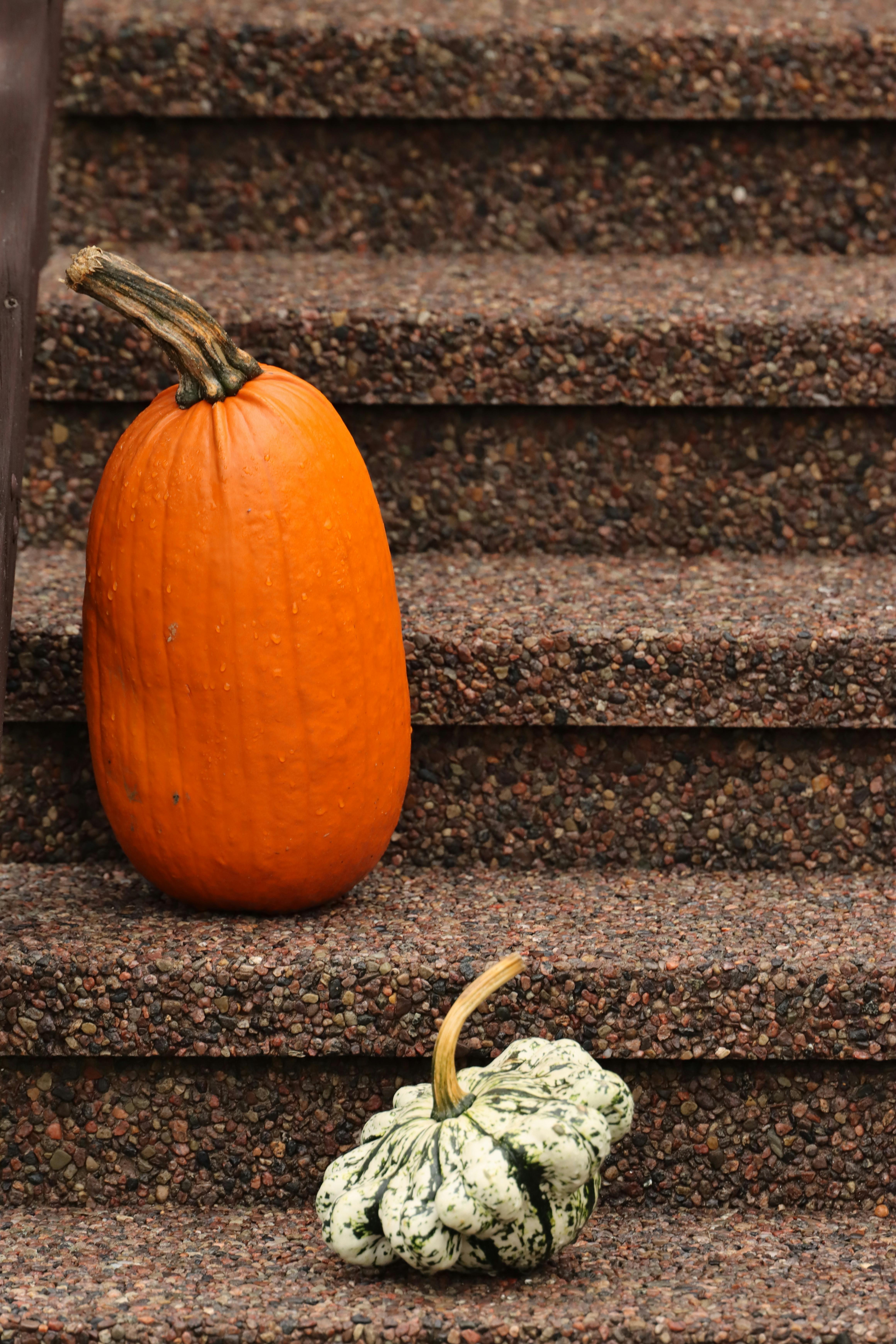 autumn pumpkins on rustic staircase