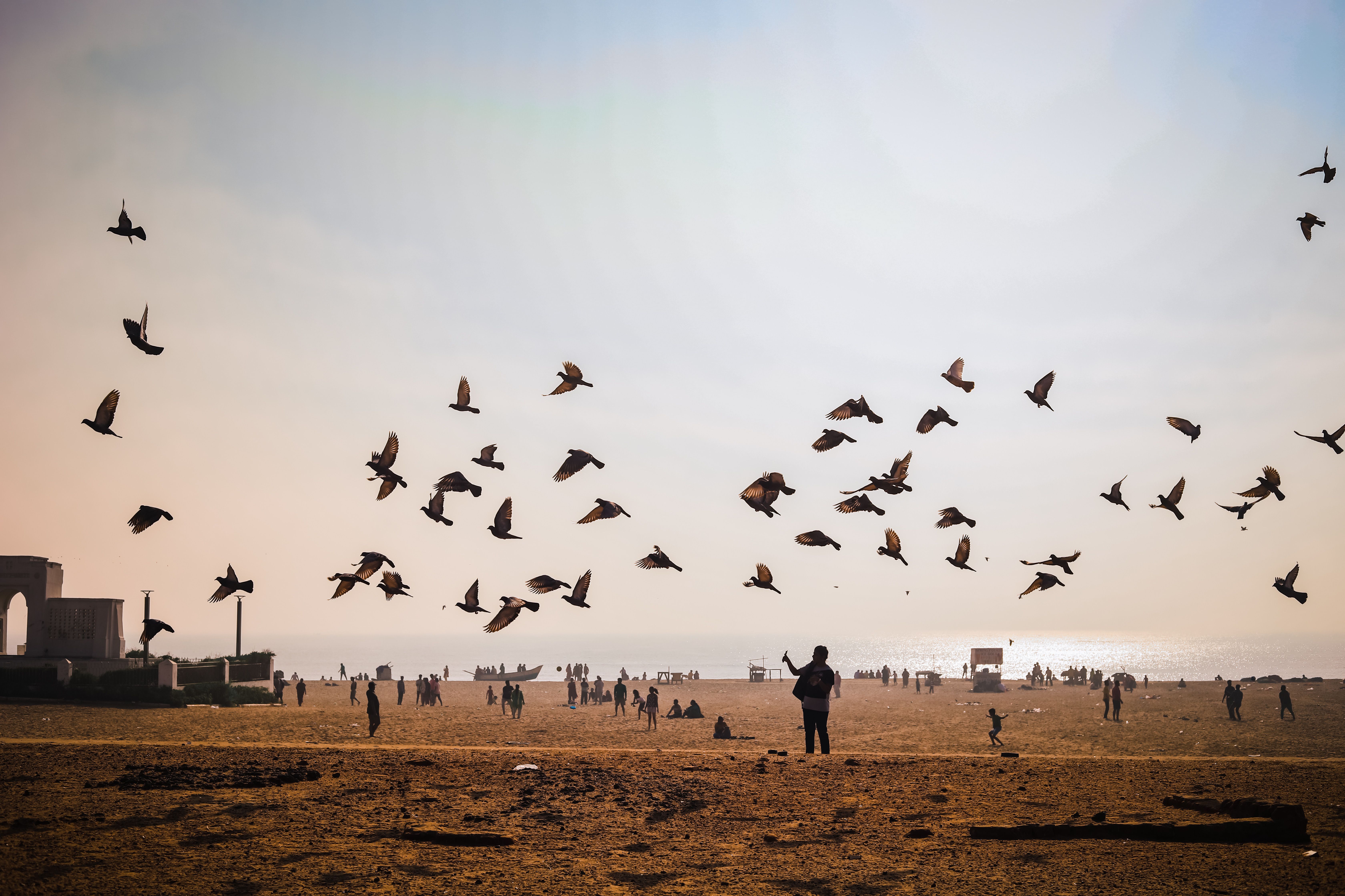 Birds Flying Over Busy Sandy Beach at Sunset · Free Stock Photo