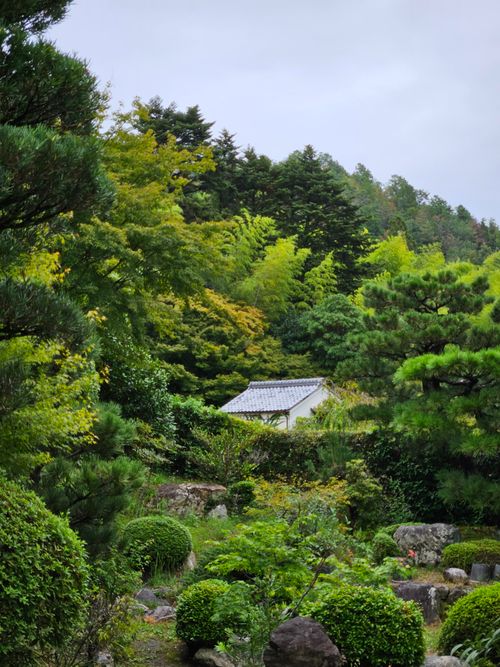 Free Serene Japanese garden with lush greenery and a traditional house nestled among trees. Stock Photo