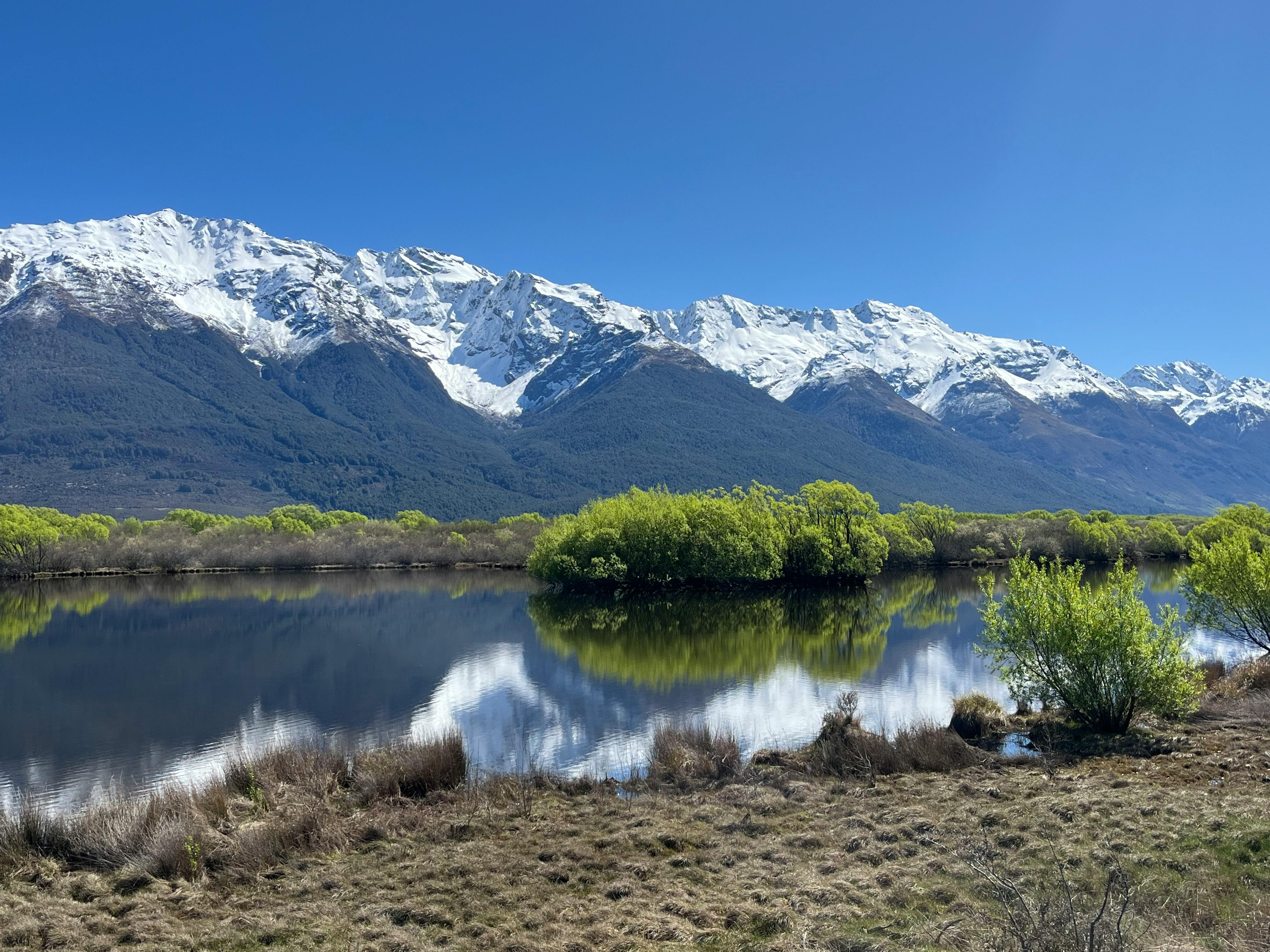 General Travel New Zealand hosts five-city roadshow in India — Photo by Relaxing Journeys on Pexels