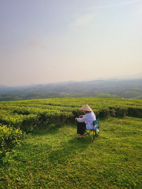 Năm Du Lịch Quốc Gia Gia Lai 2026 khai mạc ngày 28 tháng 3