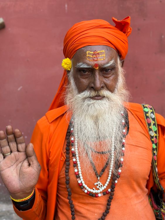 Portrait of a Traditional Indian Sadhu · Free Stock Photo