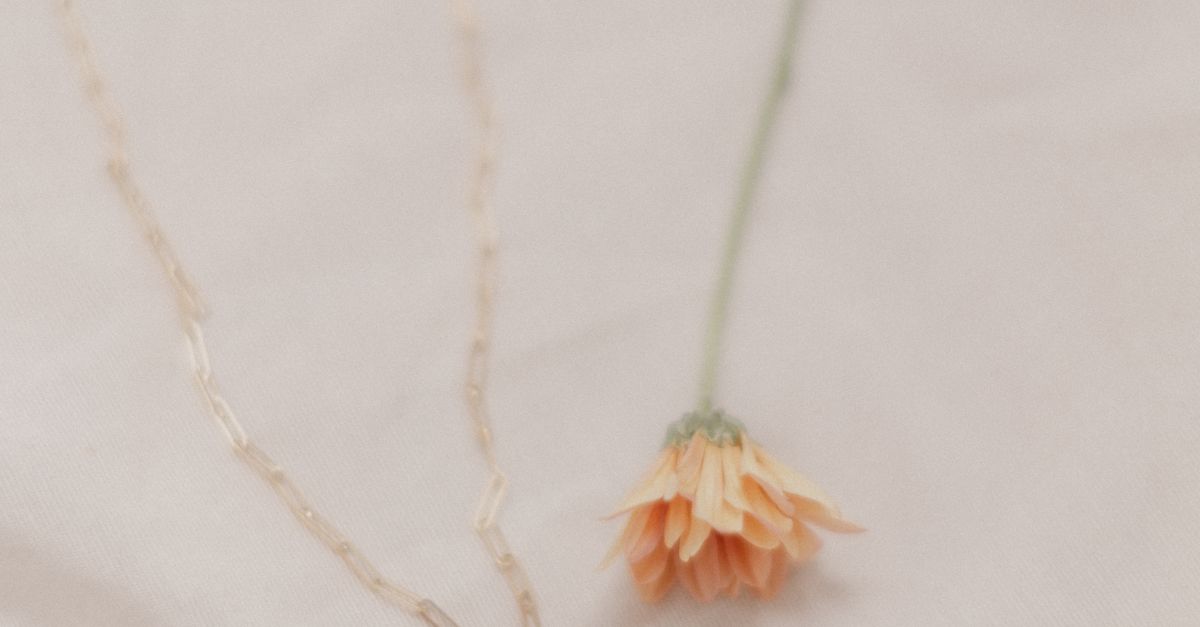Delicate Gold Chain with Drooping Flower on Fabric · Free Stock Photo