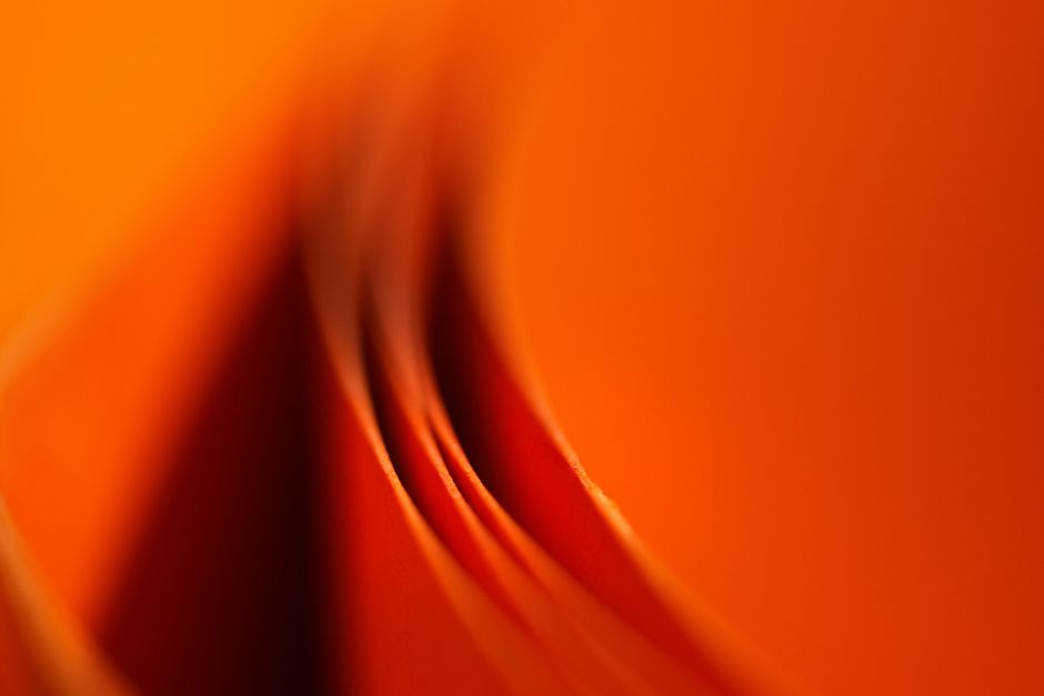 A close-up macro photograph showcasing vibrant orange abstract curves and shadows.