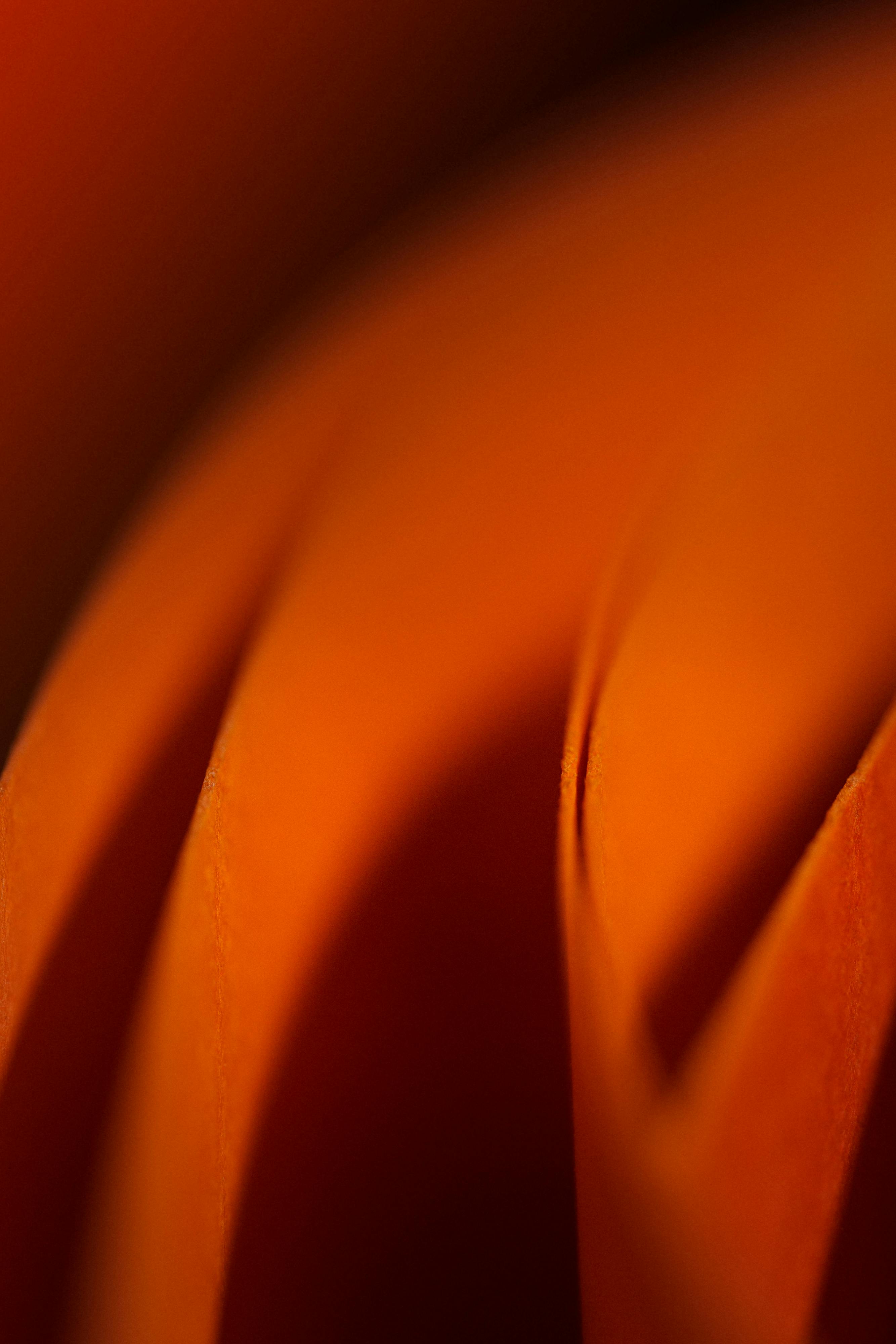 Gratis Abstrakt Oransje Papirkurver Bakgrunnskunst Arkivbilde