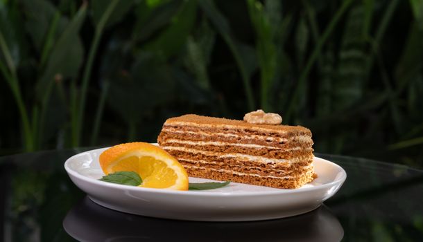 Slice of honey cake with orange and walnut on a plate outdoors.