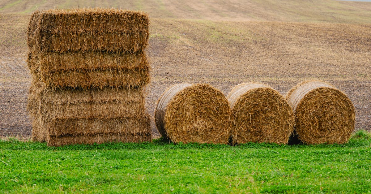Hay stacks and round bales in a countryside field with green grass.