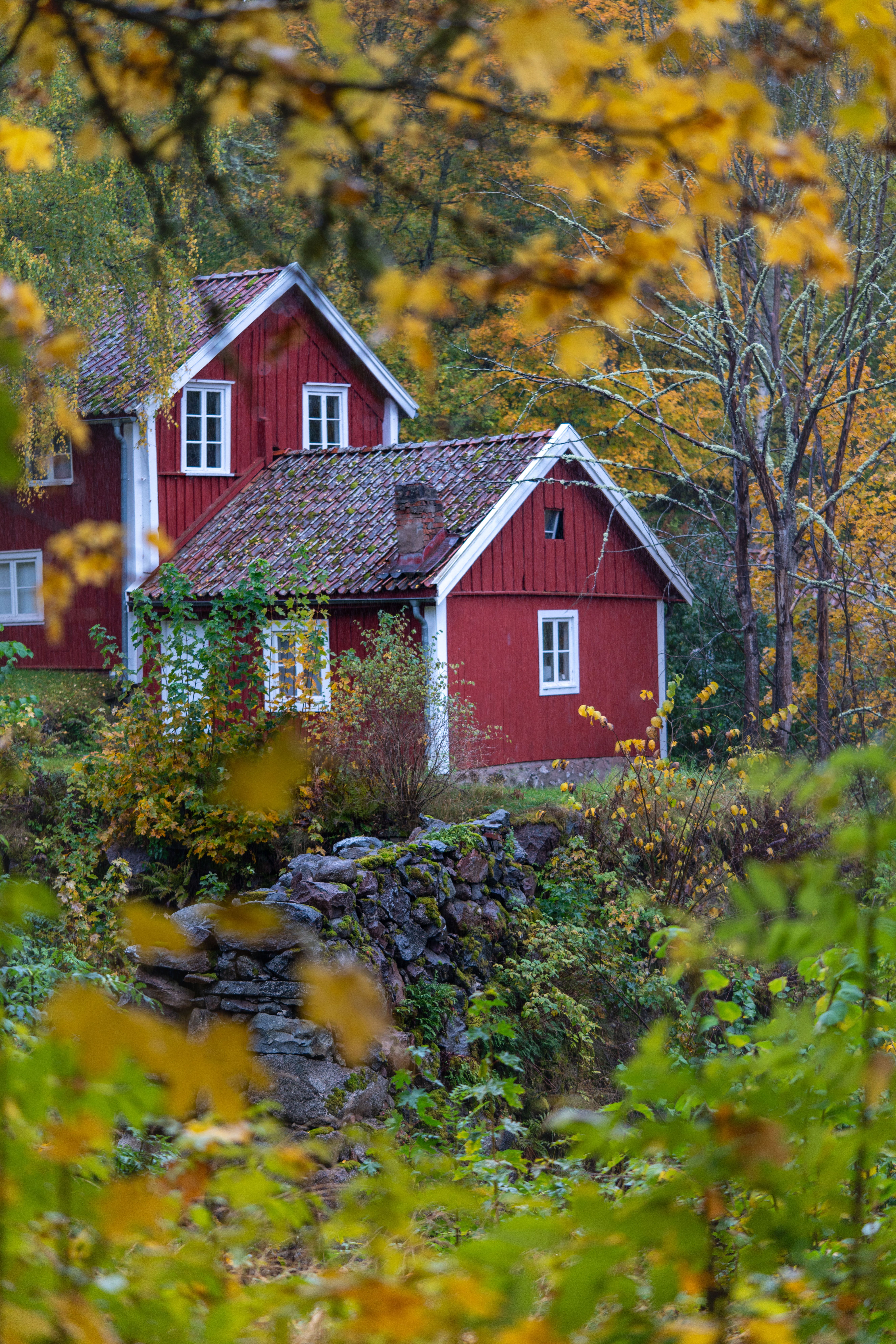Charming Red Cottage in Fall Forest Setting · Free Stock Photo