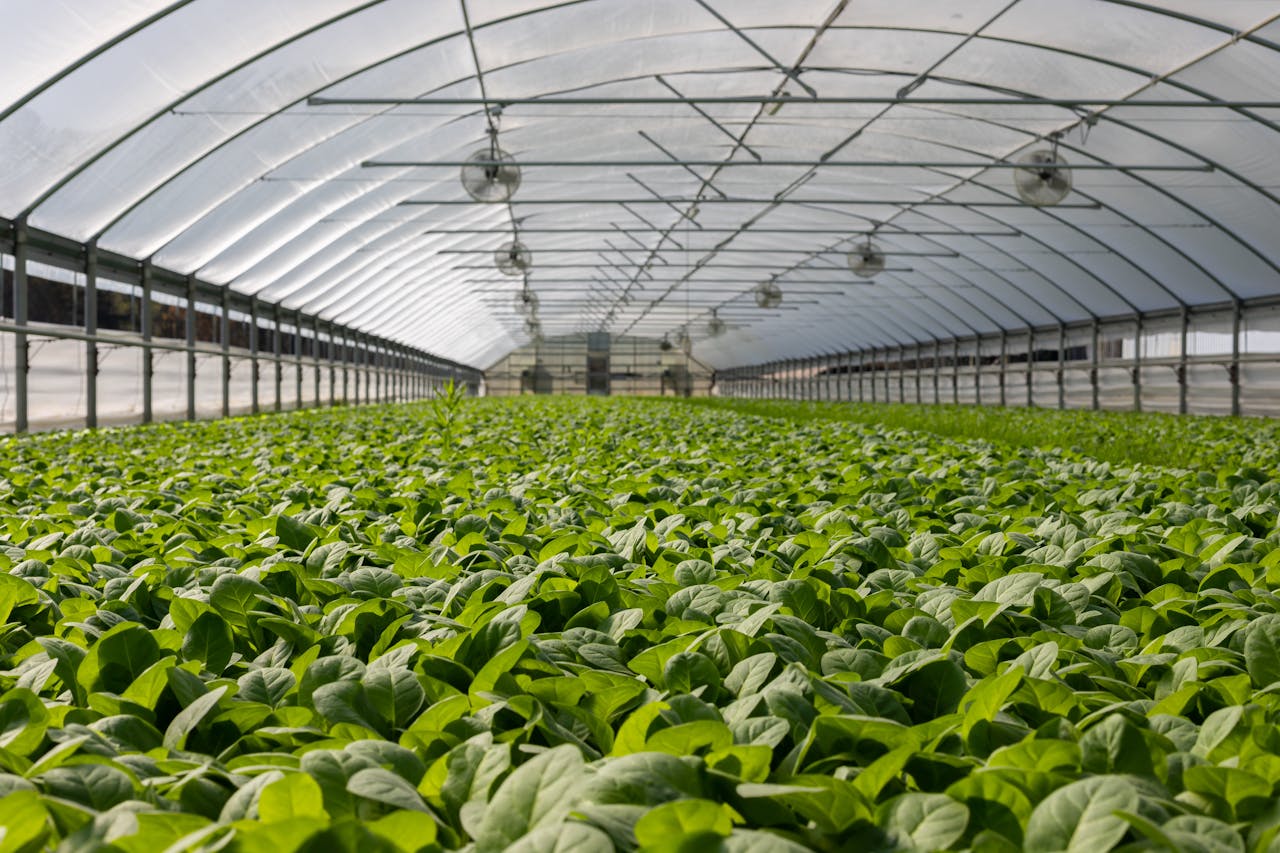 Agriculture
