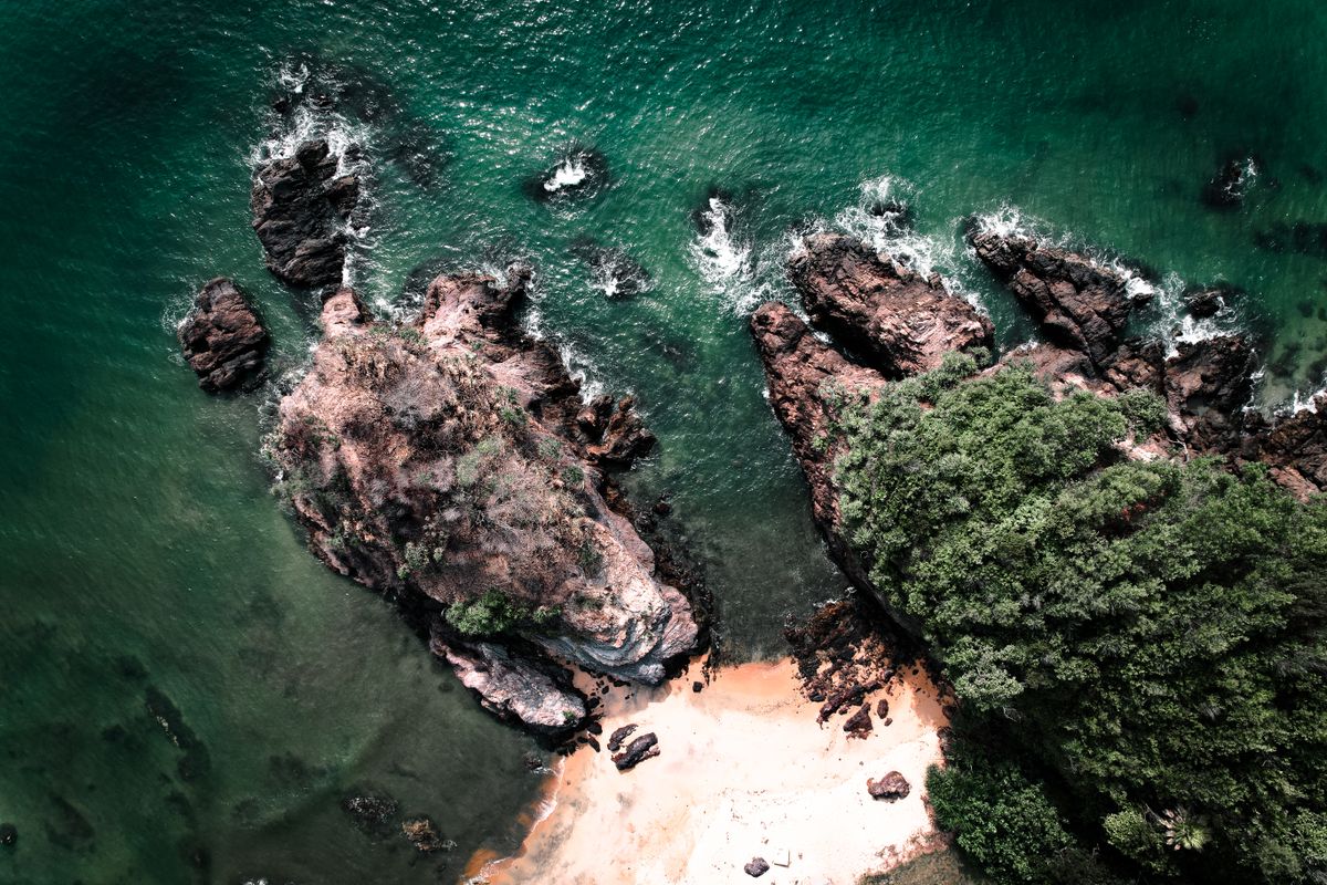 Emerald coastline with rocky headland and forest