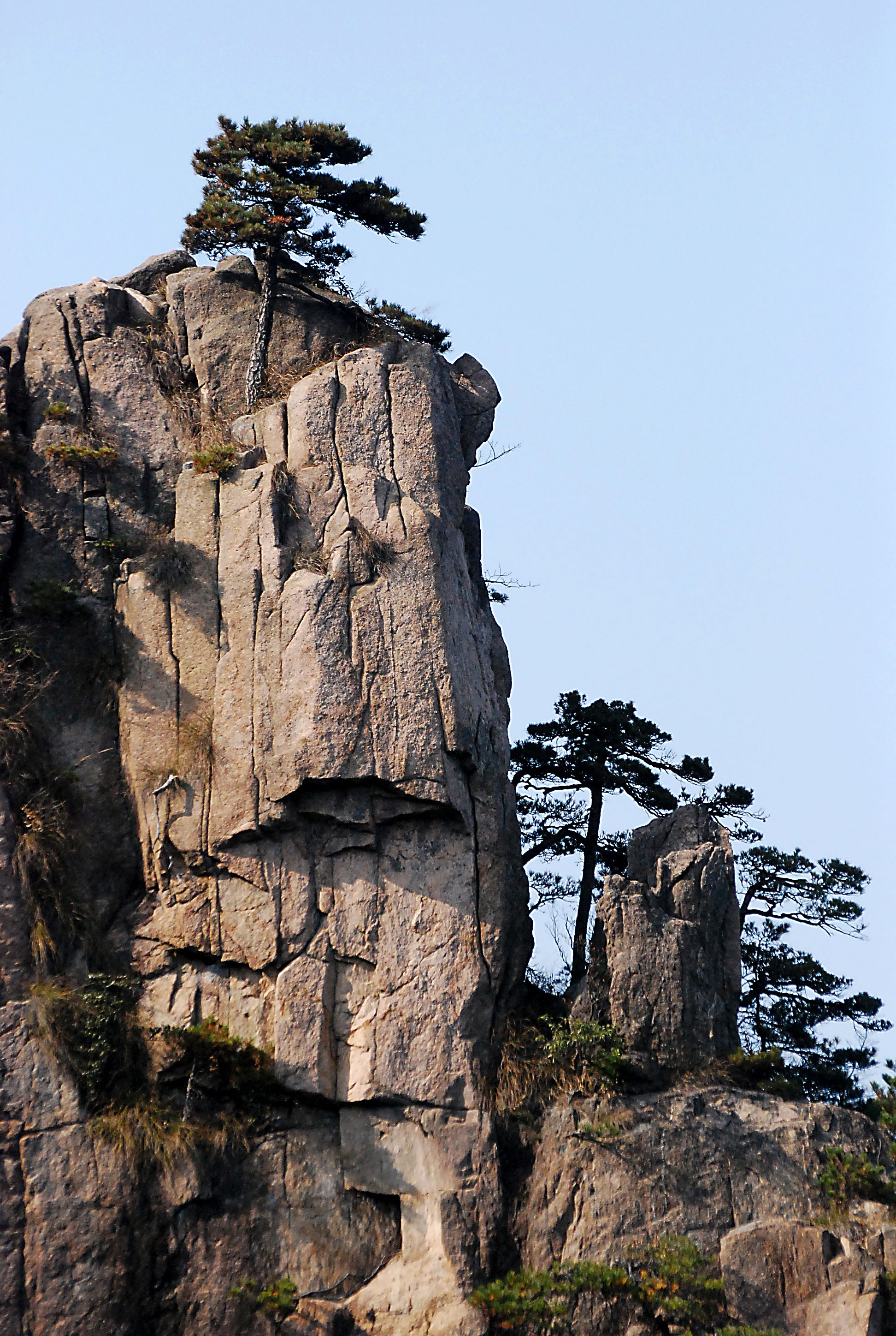 Majestic Rocky Cliff with Pine Trees · Free Stock Photo