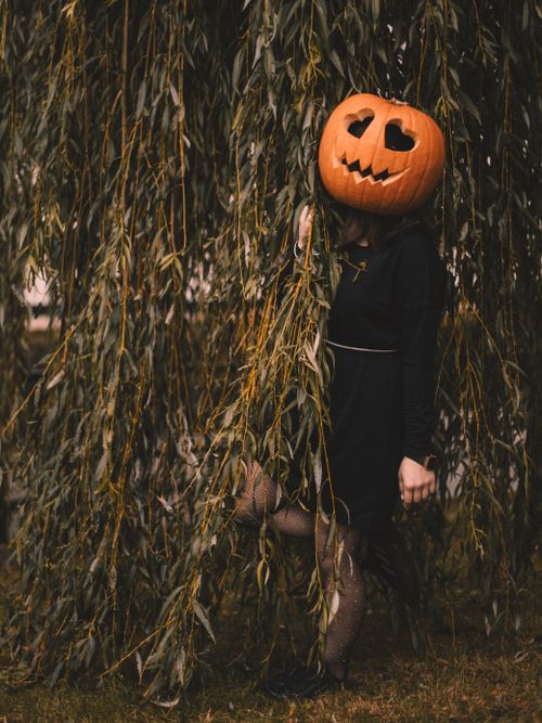 Free A person with a pumpkin head stands eerily among willow branches, showcasing Halloween spirit. Stock Photo