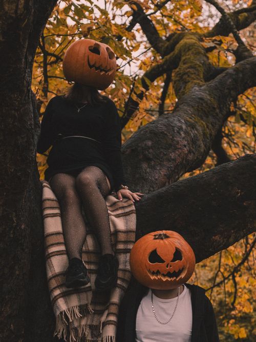 Free Two people wearing pumpkin head costumes sit in a tree amid fall foliage, embracing Halloween spirit. Stock Photo