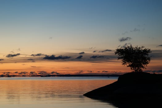 Peaceful sunrise over water with silhouetted tree at Cove Island Park, capturing twilight hues.