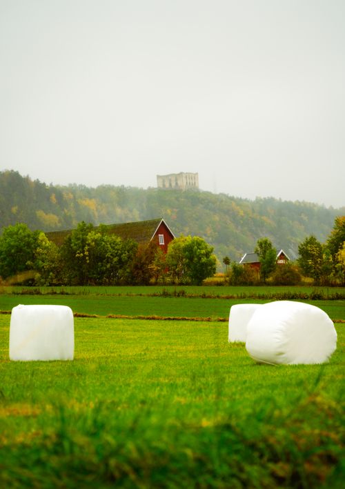 Free Idyllic countryside landscape with hay bales, red farmhouse, and distant hilltop landmark. Stock Photo