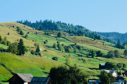 Lush green hills and scattered farmhouses under a clear blue sky in Romania.