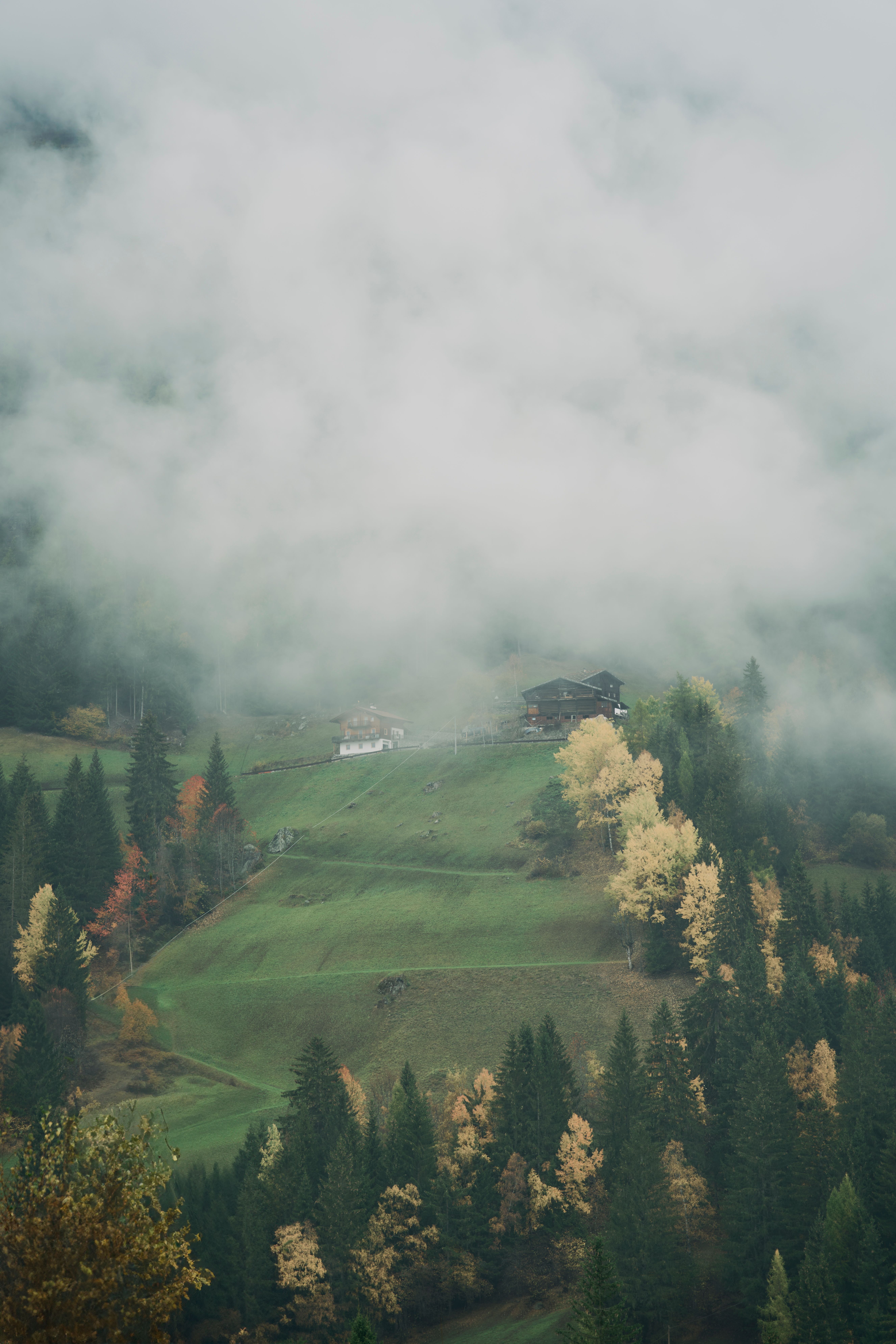 Serene Mountain Cabin in Misty Forest Landscape · Free Stock Photo