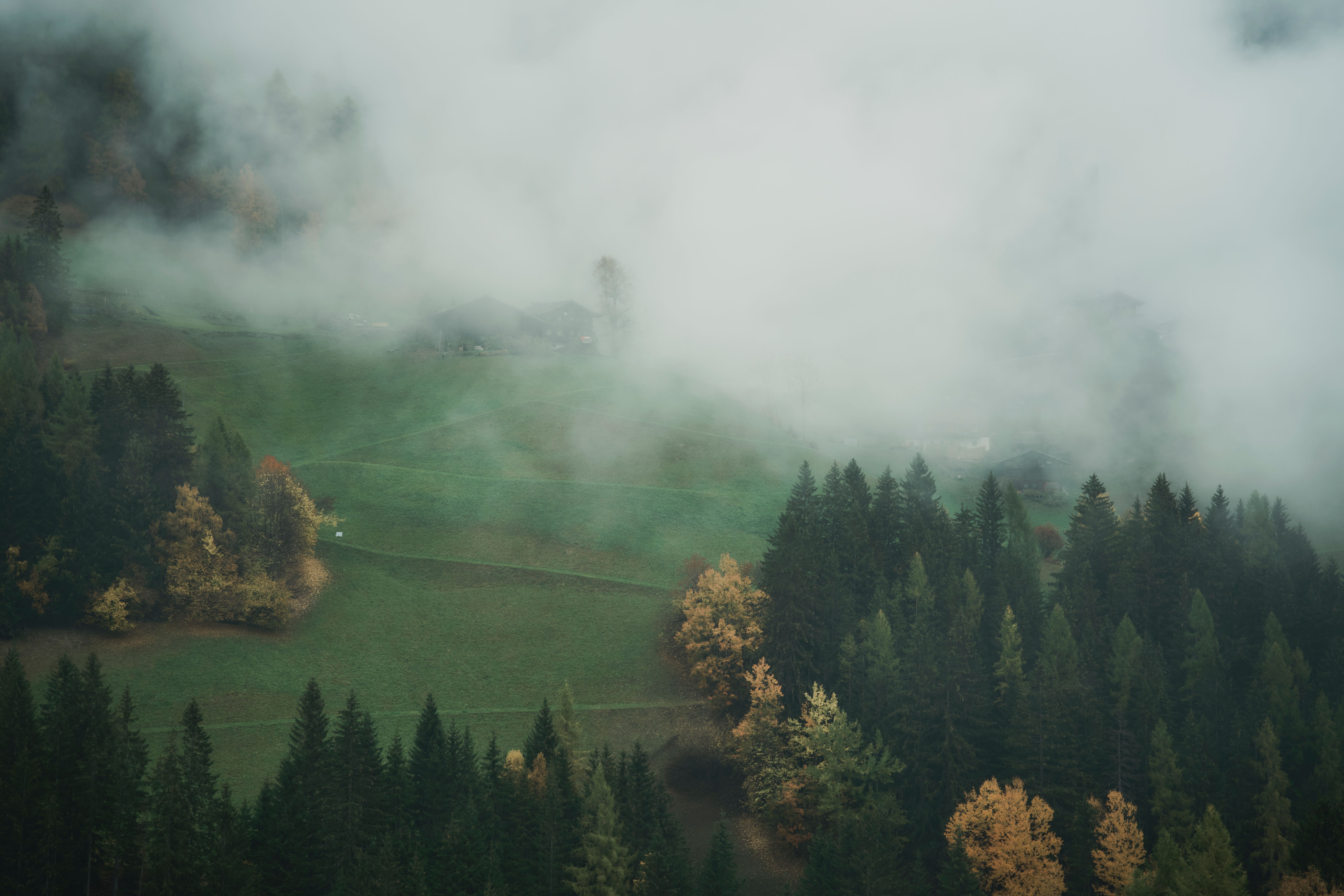 Foggy Mountain Landscape with Mist · Free Stock Photo