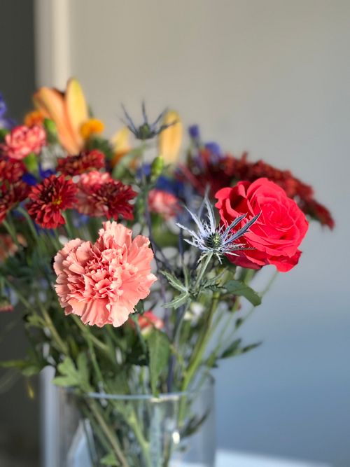 Free A colorful bouquet of mixed flowers in a glass vase, creating a vivid and lively composition. Stock Photo