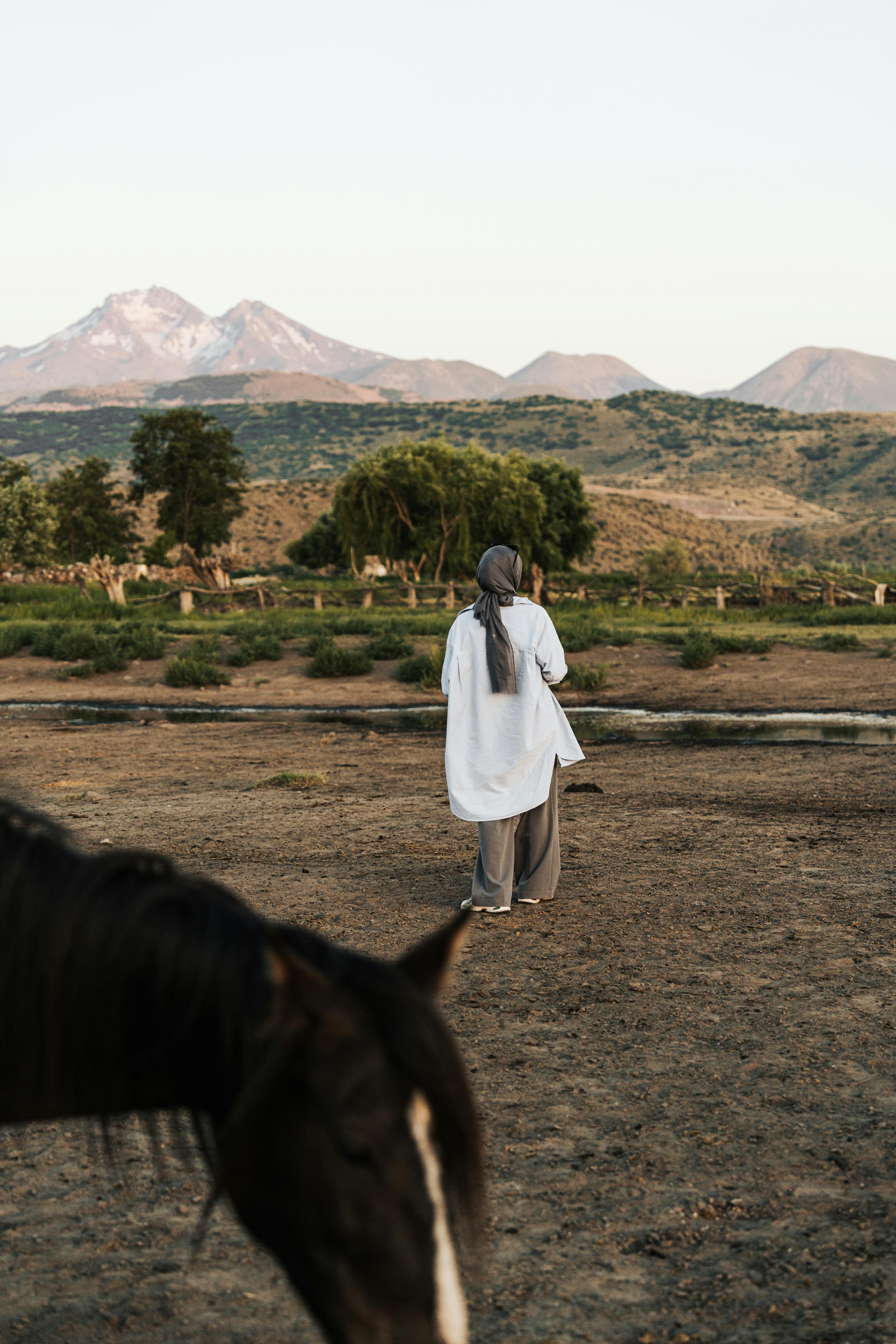 serene landscape with horse and person