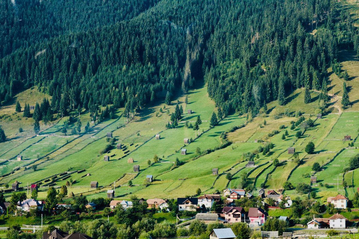 Cazare în Vatra Dornei: sat de munte sub pădure, în județul Suceava