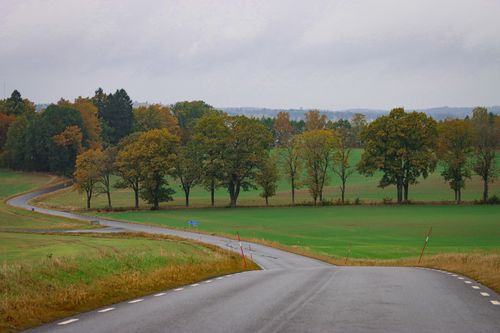 Free Winding rural road surrounded by autumn foliage in Jönköping, Sweden. Stock Photo