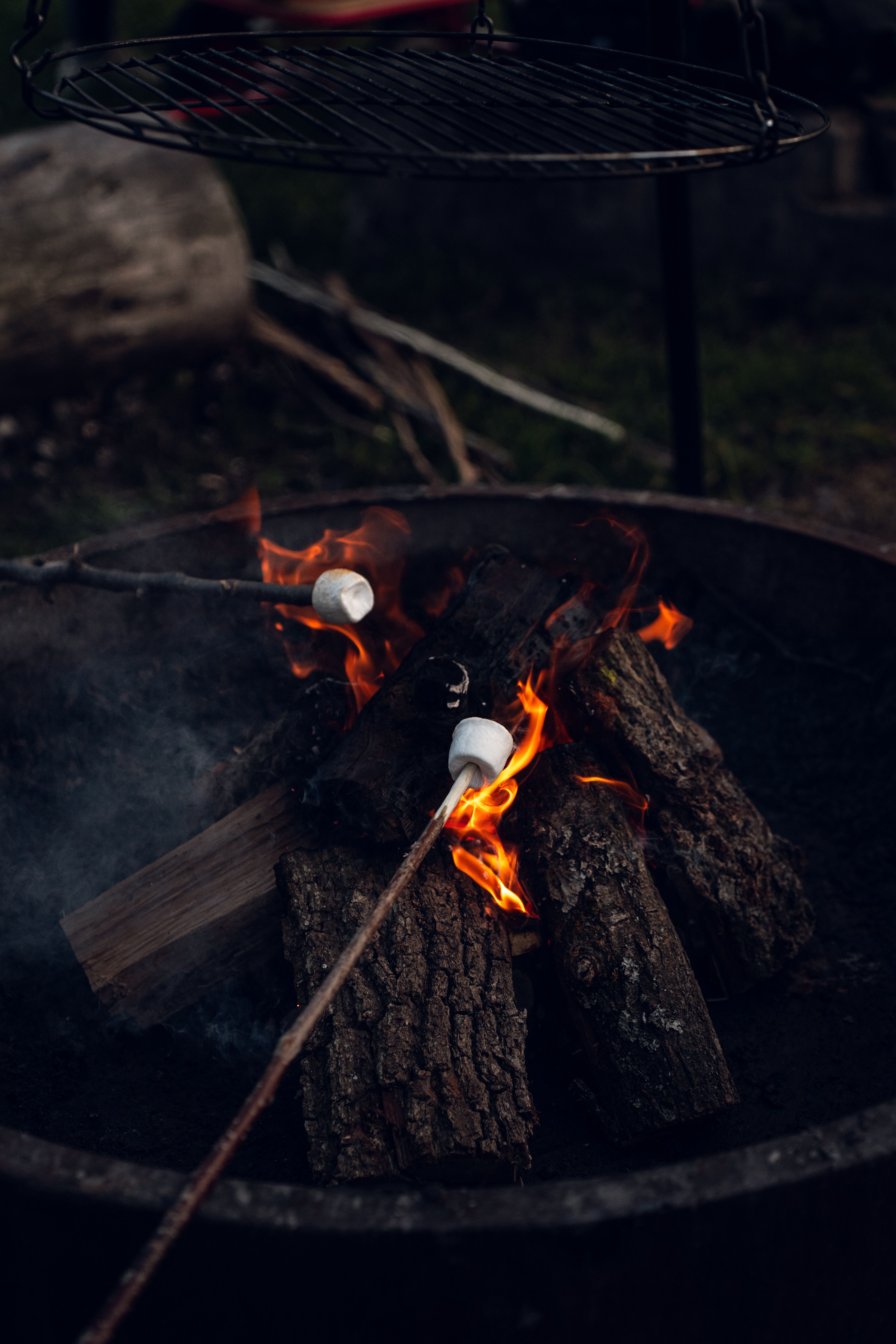 Free Roasting marshmallows over a campfire at night in Marktoberdorf, Germany. Stock Photo