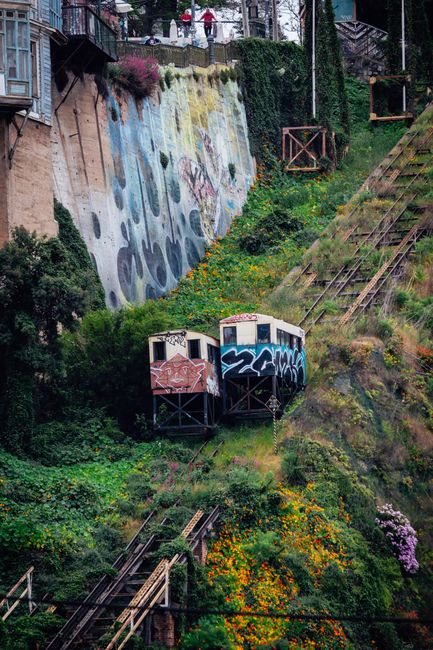 Two graffiti-covered funicular cars on a vibrant hillside track.