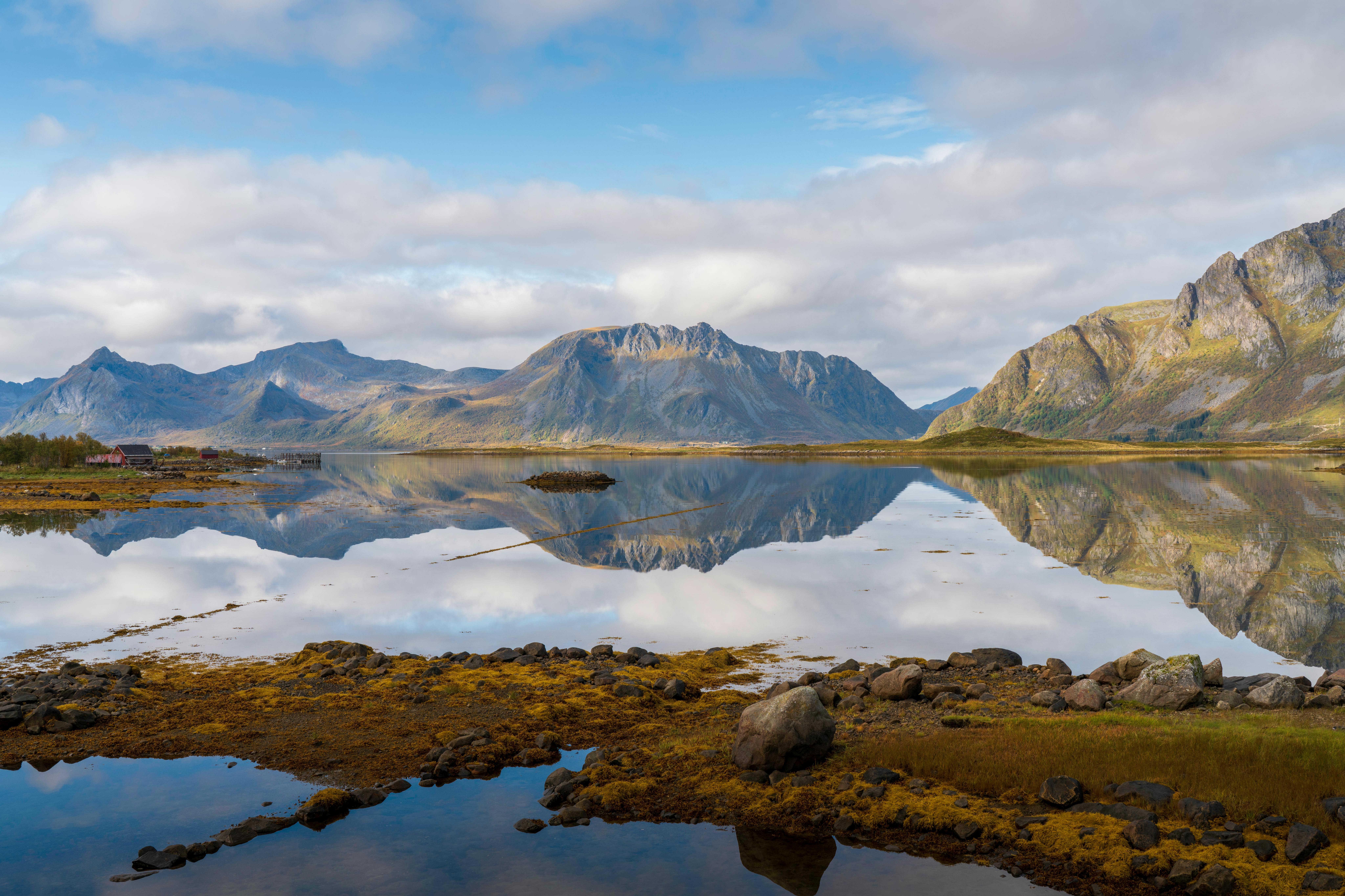 Image of a brain scan