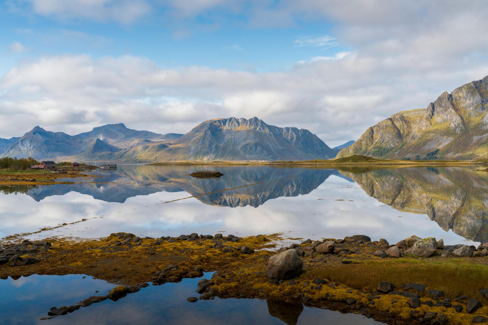 Image of a brain scan