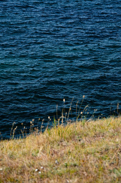 Serene Coastal Cliffside Overlooking Ocean Waters · Free Stock Photo