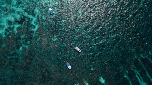 Free Aerial perspective of small boats and swimmers in a vibrant blue ocean, capturing the essence of marine adventure. Stock Photo