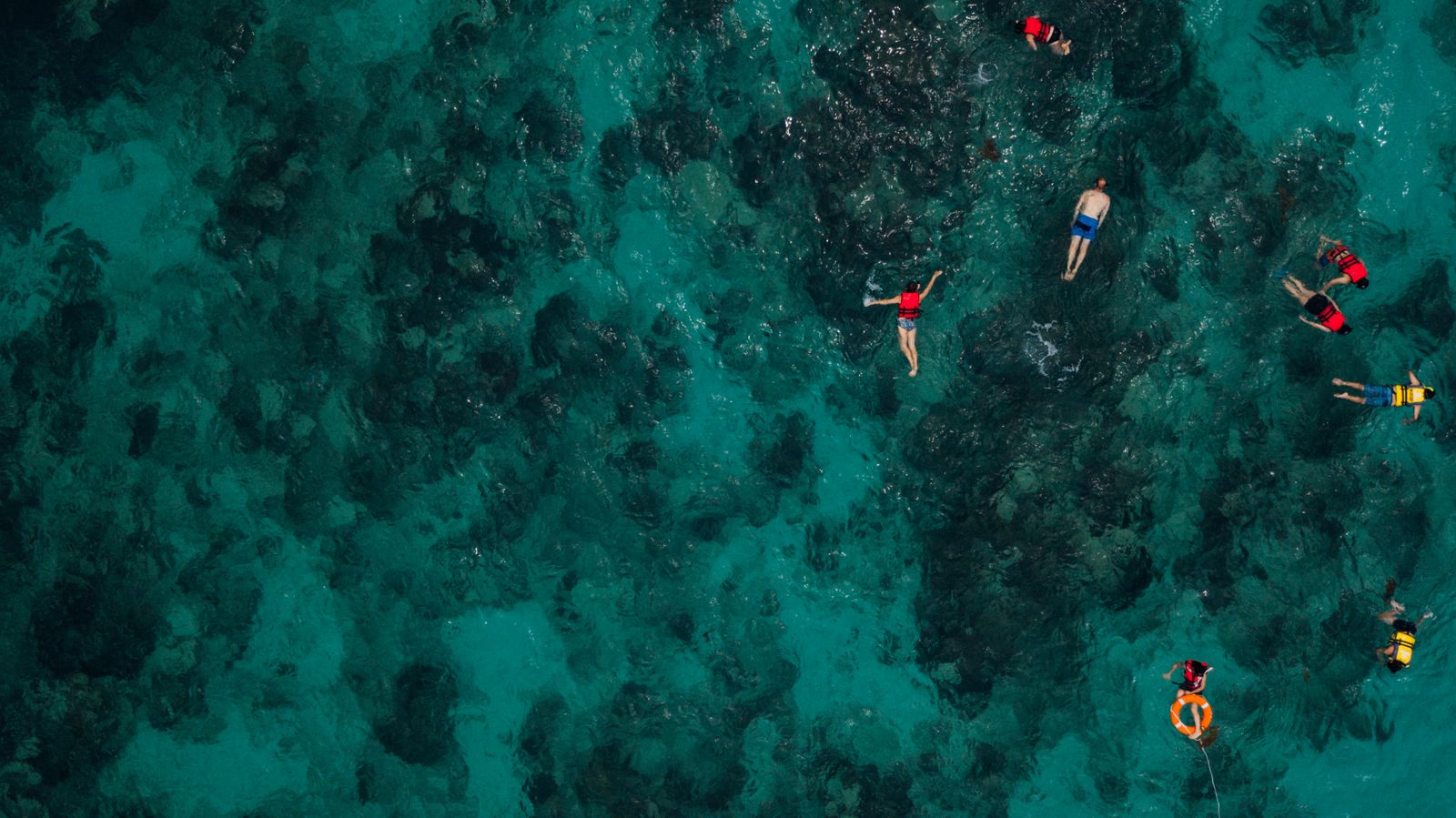 Snorkelers over a bright coral reef in clear turquoise water near Mnemba, Zanzibar