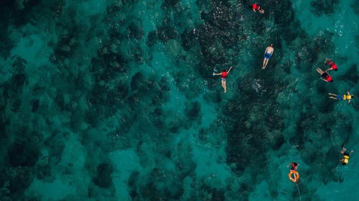 Snorkelers over a bright coral reef in clear turquoise water