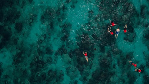 Free People Snorkeling In Deep Water Stock Photo
